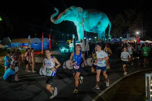 BIB: 
                            <button type="button" onclick="openModal(26552276)" class="btn btn-primary btn-sm float-right btn-popup" data-toggle="modal" data-target=".modal-high-quality">
                        <i class="fas fa-shopping-cart"></i> Add to Cart
                    </button>
                                            <button type="button" onclick="isThisMe(26552276, true)" class="btn btn-success btn-sm float-right btn-popup btn-isme hidden" data-toggle="tooltip" data-placement="bottom" title="นี่คือรูปของคุณใช่ไหม คลิกที่นี่เพื่อเอาเข้าอัลบั้ม">
                        <i class="fas fa-plus"></i> Add to album
                    </button>
                    <button type="button" onclick="isThisMe(26552276, false)" class="btn btn-warning btn-sm float-right btn-popup btn-isnotme hidden">
                        <i class="fas fa-ban"></i> Remove from album
                    </button>